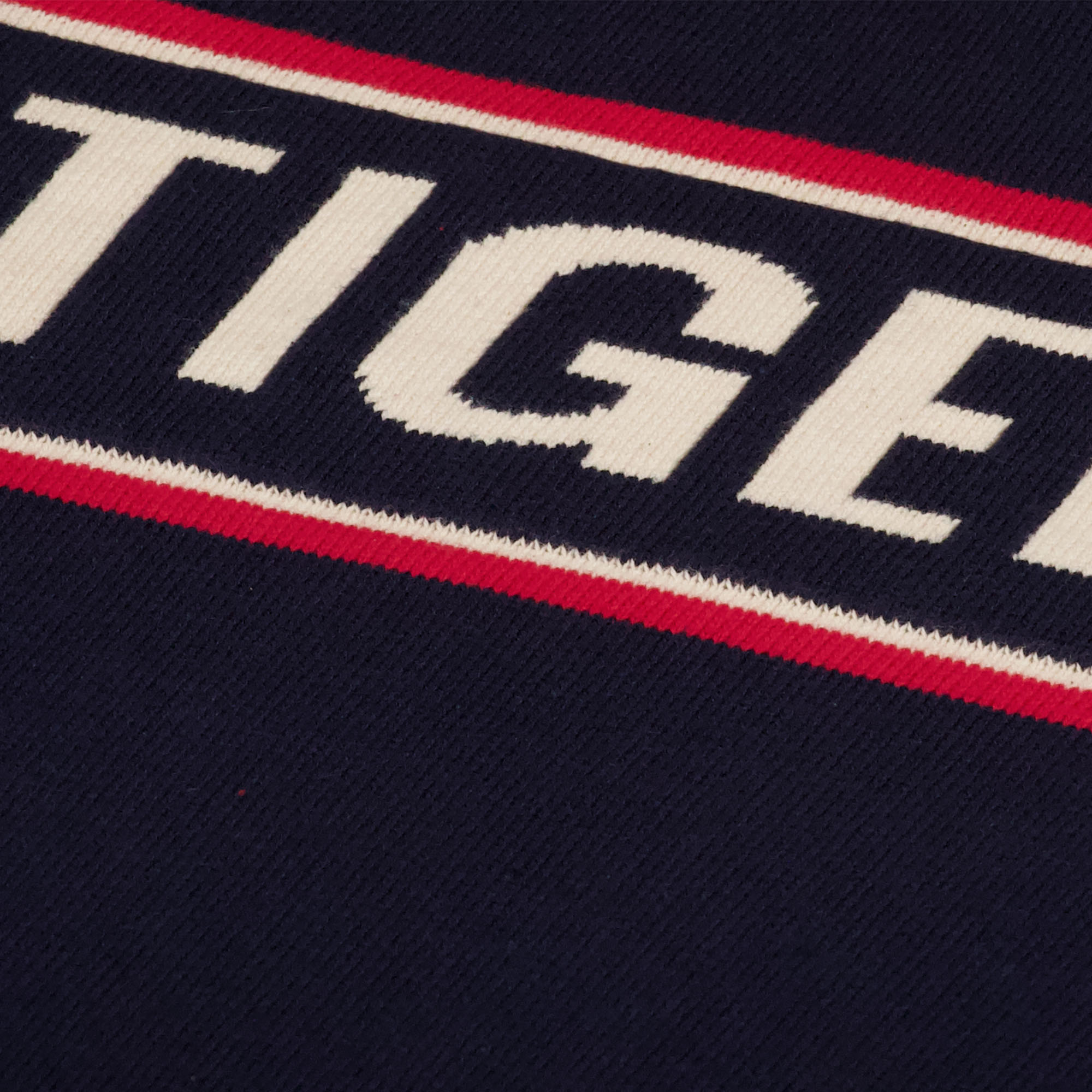 Winter Sweater Tigers